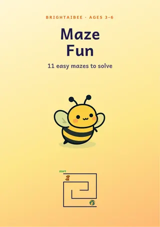 Cover of Maze Fun